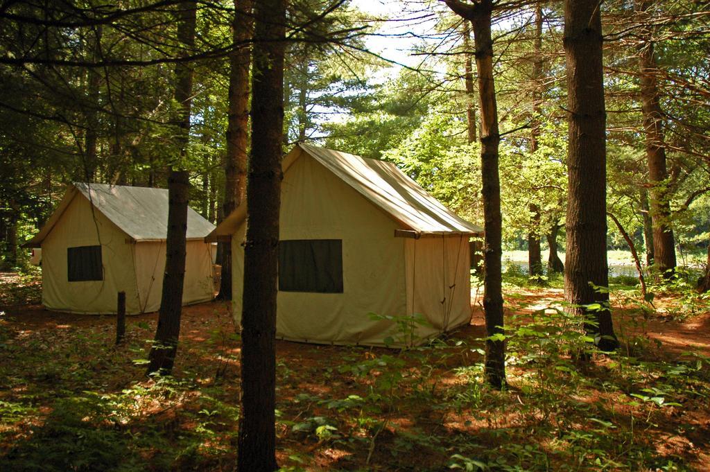 Northern Outdoors Adventure Resort The Forks Bilik gambar